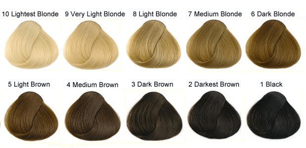 6. "The Difference Between Dark Blonde and Light Brown Hair Colors" - wide 7