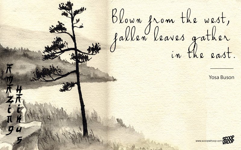 Mesmerising Haikus That Perfectly Capture The Essence Of Life And Loss