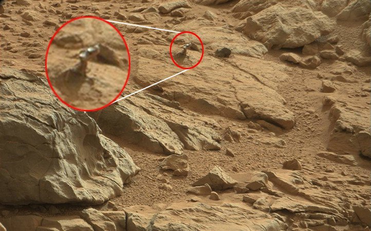 After Martian Woman And Space Crab, Curiosity Spots A Lizard On Mars!