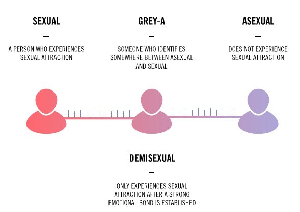 What Is Asexuality Heres Everything You Should Know About It 