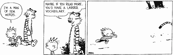 Here Are 28 Profound Life Lessons We Learnt From Calvin & Hobbes