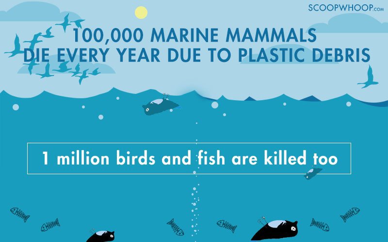 In Just 35 Years, Oceans Will Contain More Plastic Than Fish