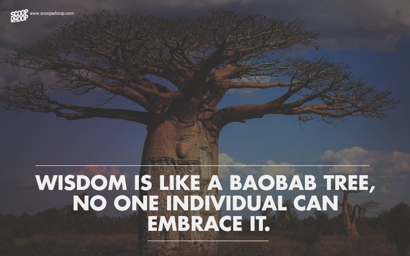 25 African Proverbs That’ll Teach You Some Valuable Life Lessons