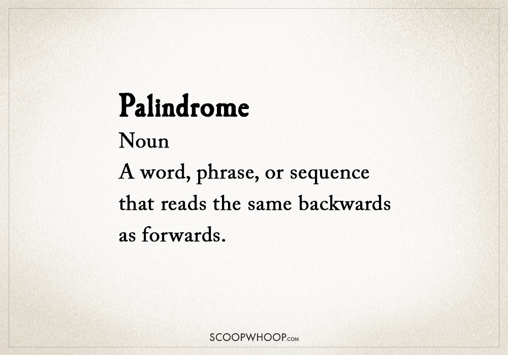 16 palindromic phrases that ll make your head spin right round