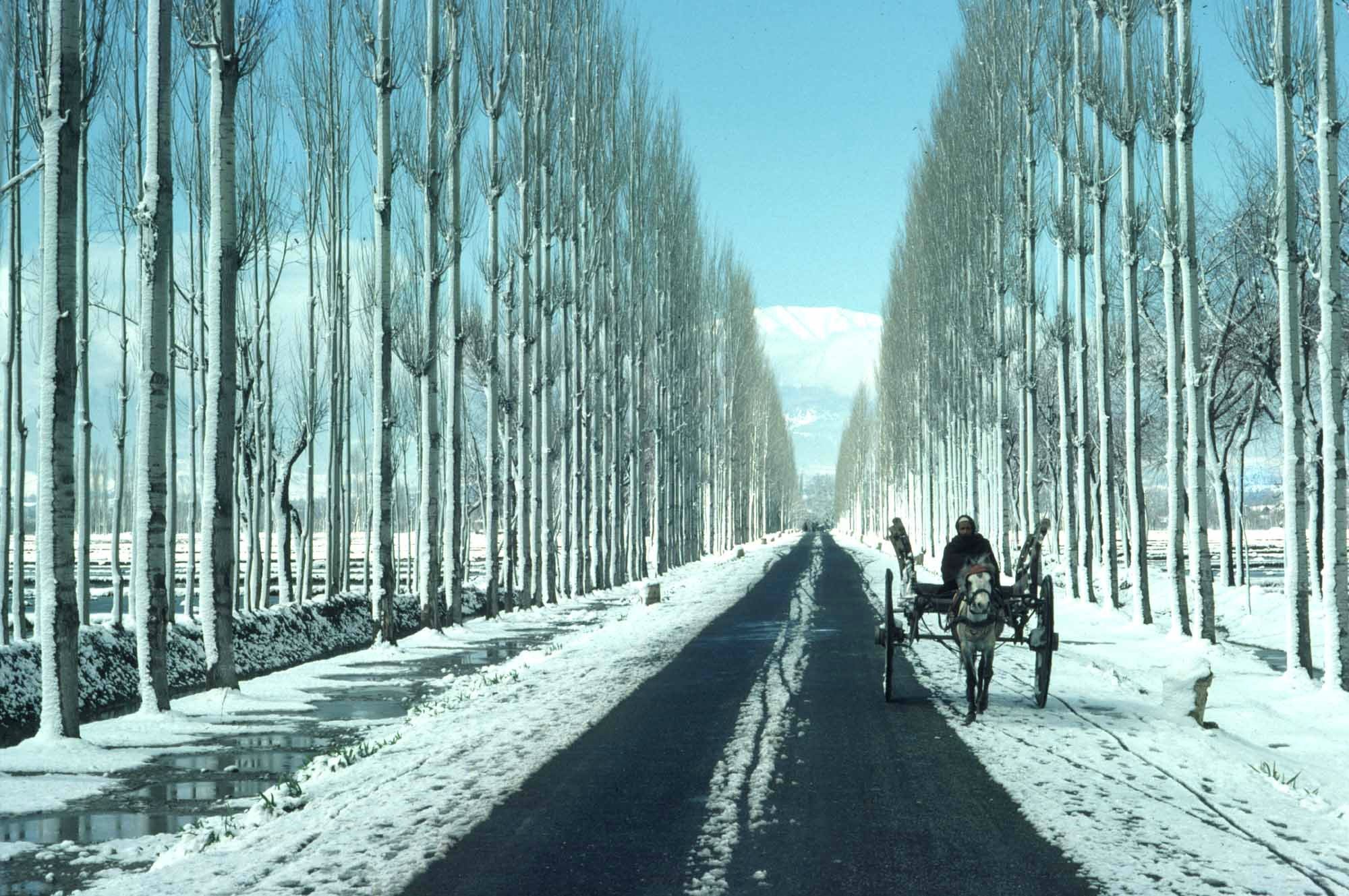 These Stunning Photographs Show How Kashmir Turns Into A Snowy Wonderland During Winters