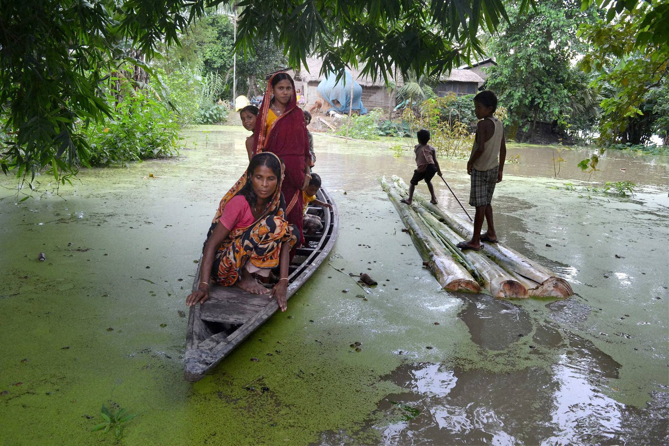 Assam Floods Cause 85% Of Kaziranga Park To Go Under Water, Affects ...