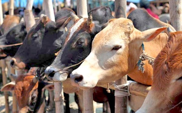 for-your-kind-information-india-is-the-world-s-top-beef-exporter-isn