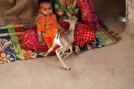 Mothers Of This Indian Community Breastfeed Baby Deer As Part Of Their