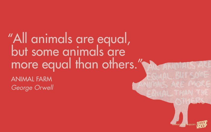 Some animals go to a shelter. All animals are equal but some animals are more equal than others. Some animals are more equal than others. "All animals are equal, but some animals are more equal than others..." Georges Orwell. All Beast equal but some animals are more equal than others.
