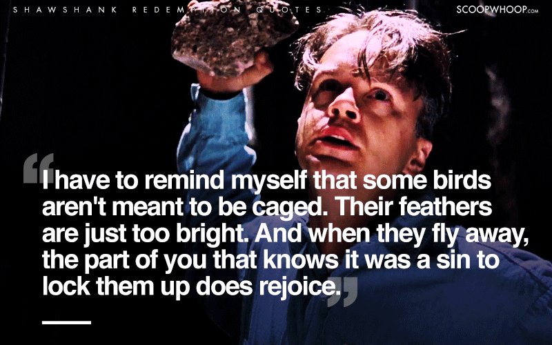 20 Best 'The Shawshank Redemption' Quotes | Top Quotes From The