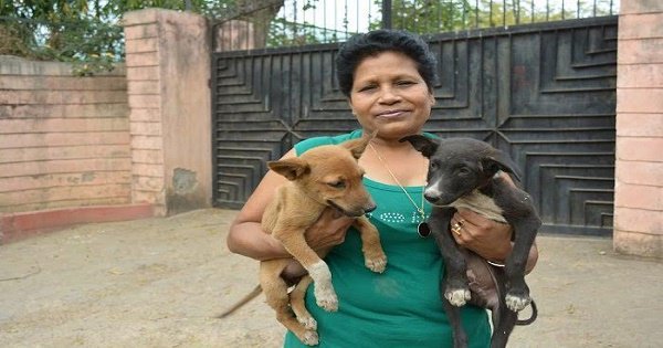 This Delhi Lady Feeding 800 Stray Dogs Daily Shows What Compassion