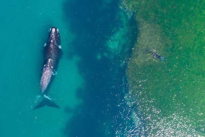 2017’s Best Drone Photos Have Been Announced & They’re A Stunning Bird