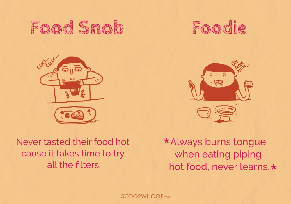 12 Hilarious Posters That Show The Very Real Differences Between A Food 