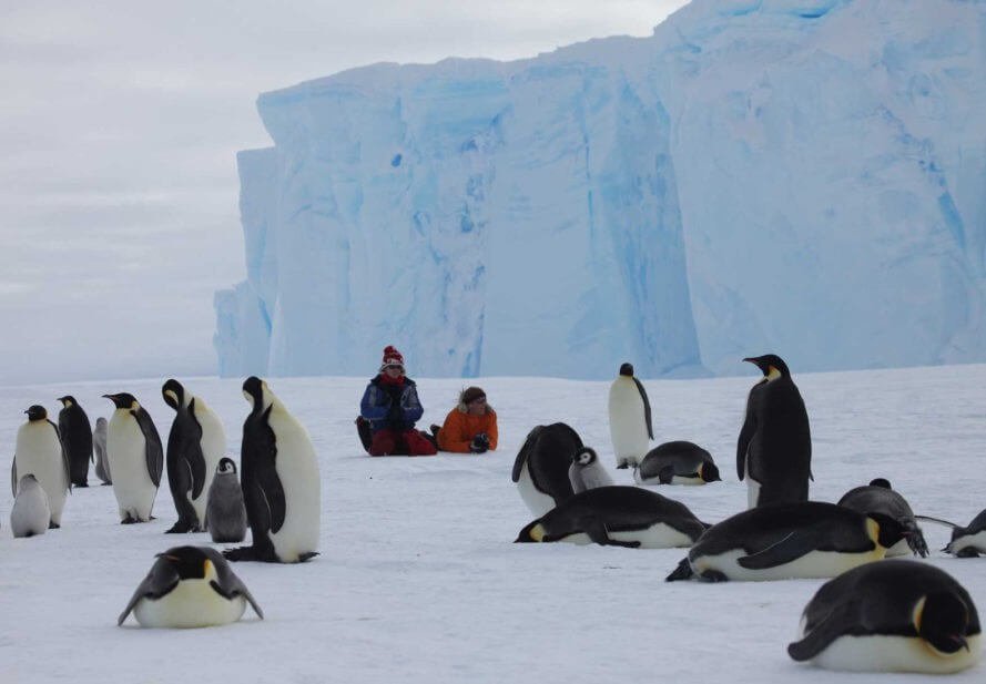 This Is Antarctica’s Only Hotel & It’s A Breathtaking Paradise Where ...