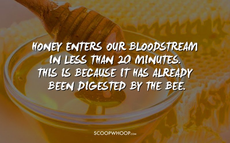 30 Interesting Facts About Food We Bet You Had No Idea About