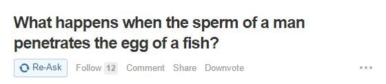 30-funny-quora-questions-people-asked-stupidest-questions-people