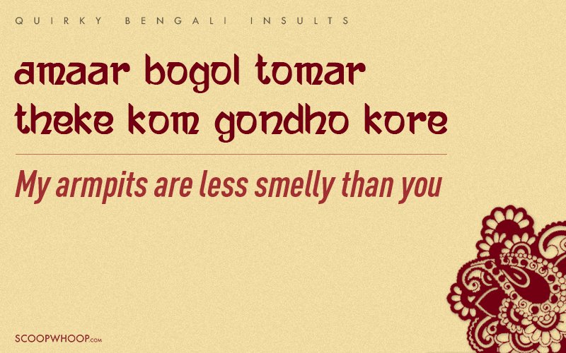 These Made Up Bengali Insults Burn So Bad Even Boroline Wont Help