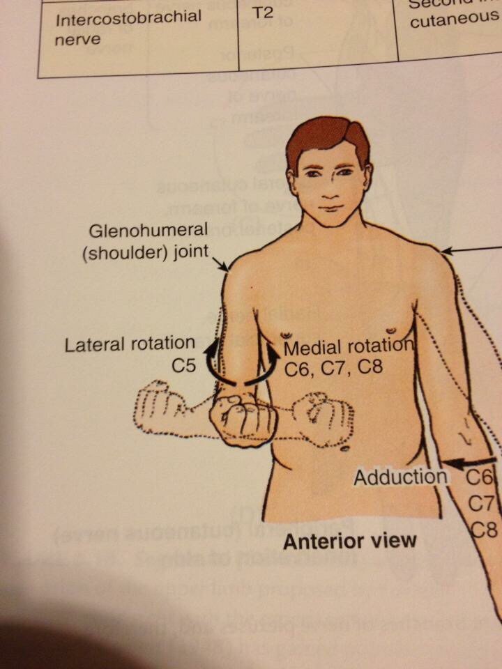 How To Masturbate To Porn 81