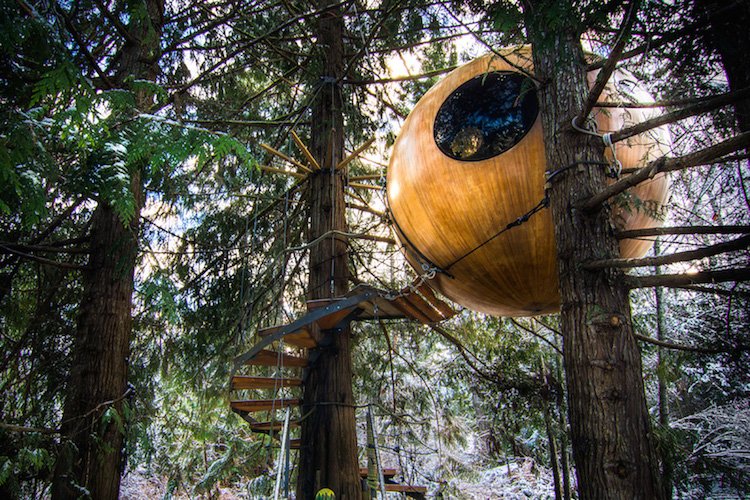 This Hanging Hotel In Canada Lets You Spend A Night In The Forest, But ...