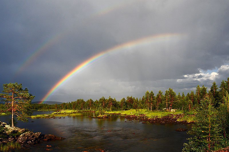 rare natural phenomena