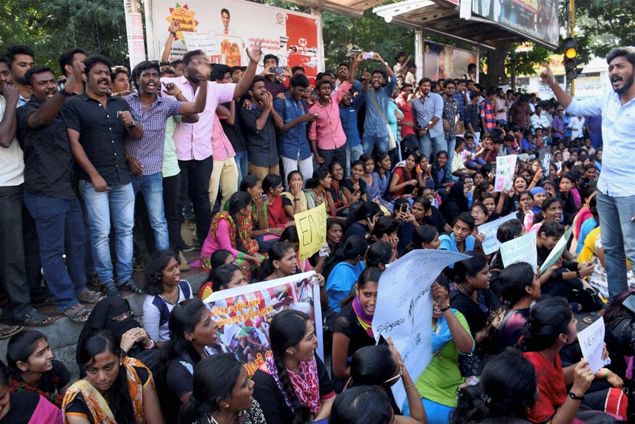 Thousands Throng The Streets In Support Of Jallikattu Across Tamil Nadu