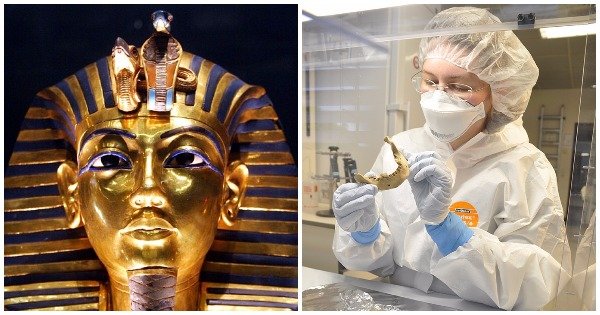 Scientists Claims To Recover First Genoma Data From Egyptian Mummies