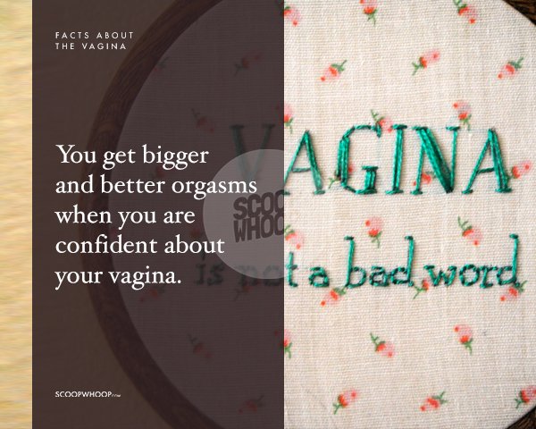 Amazing Facts You Should Know About Your Vagina