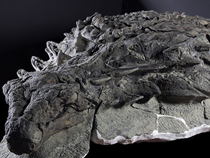 millennium mine dinosaur
