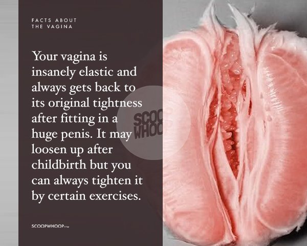 Loosest Vagina