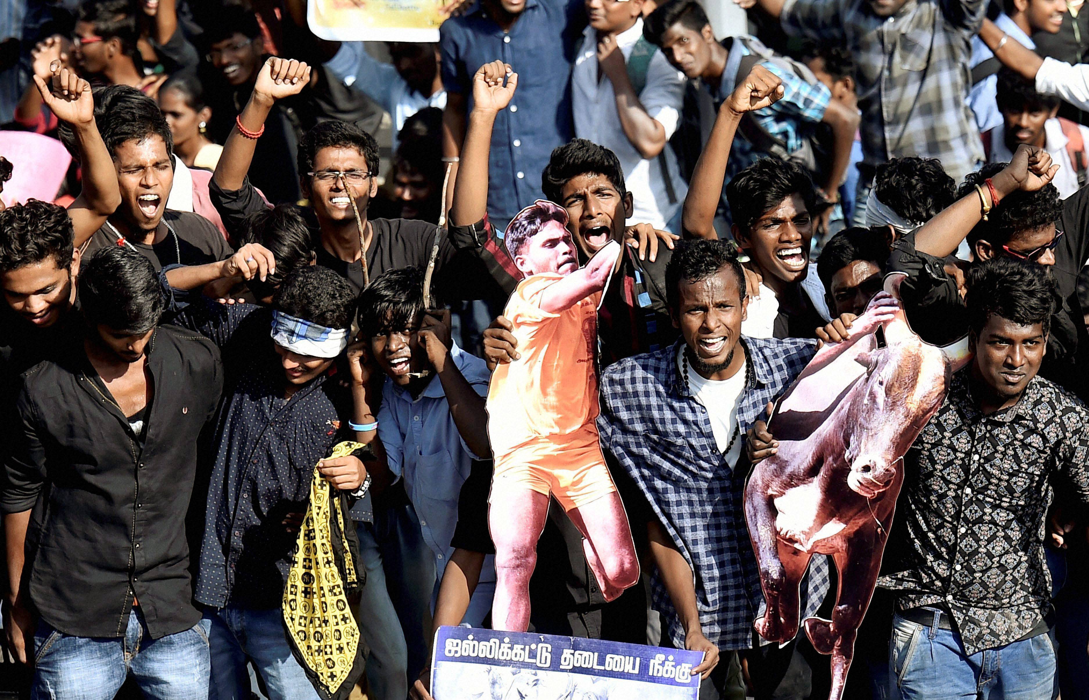 thousands-throng-the-streets-in-support-of-jallikattu-across-tamil-nadu