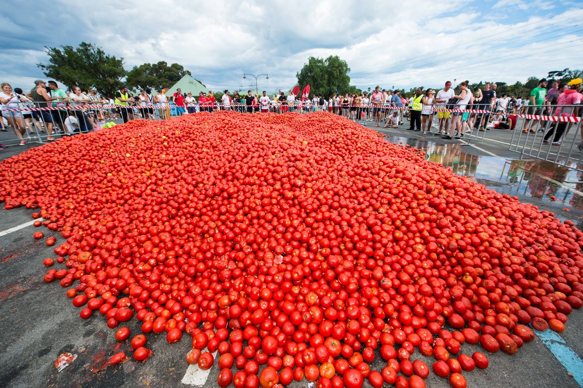 Tomatina Festival में 1 घंटे में जितना टमाटर यूज़ होता है, उससे आप चार