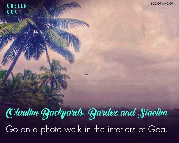 12 Amazing Experiences Youre Missing Out In Goa Because You