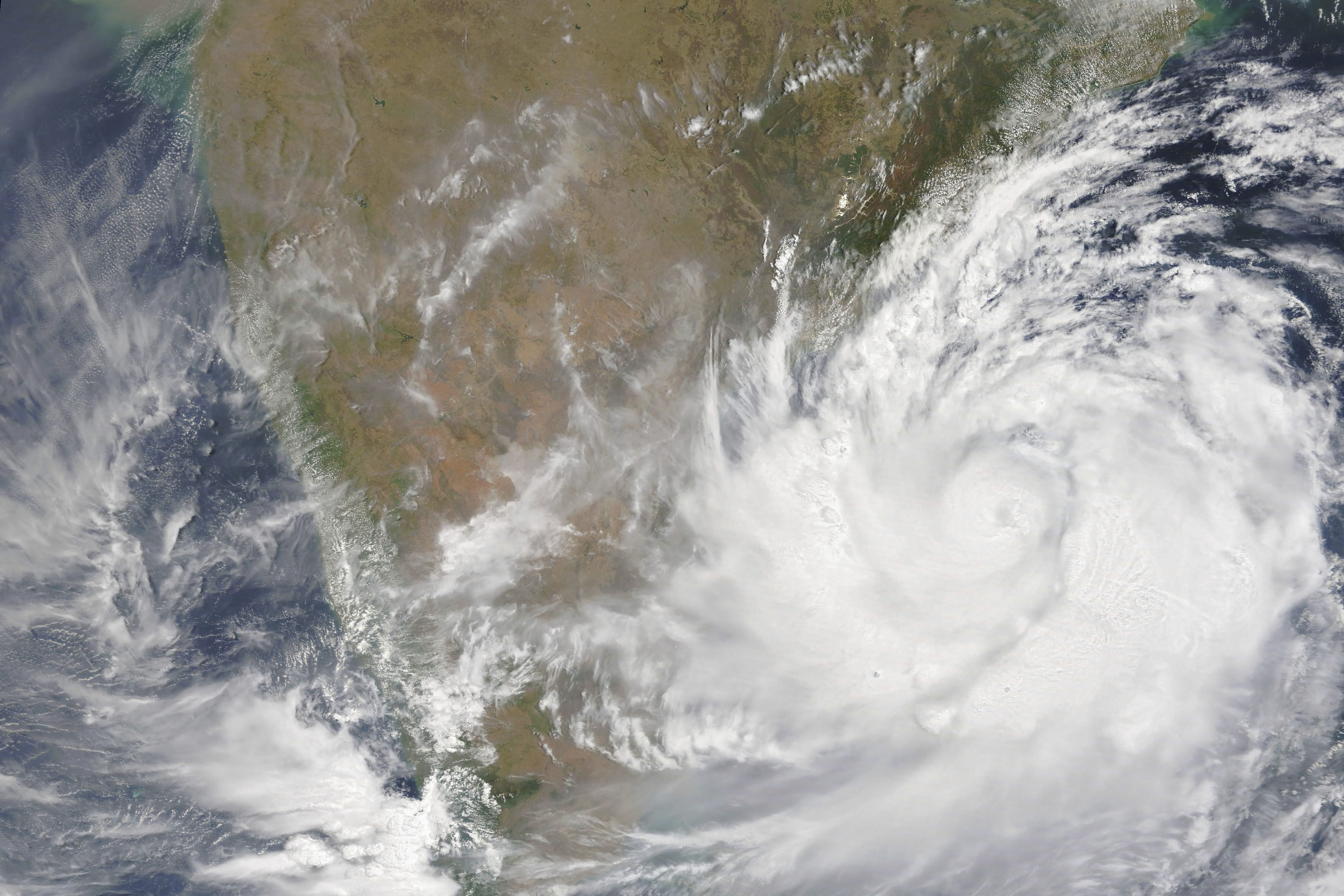 case study on odisha cyclone 2019 fani