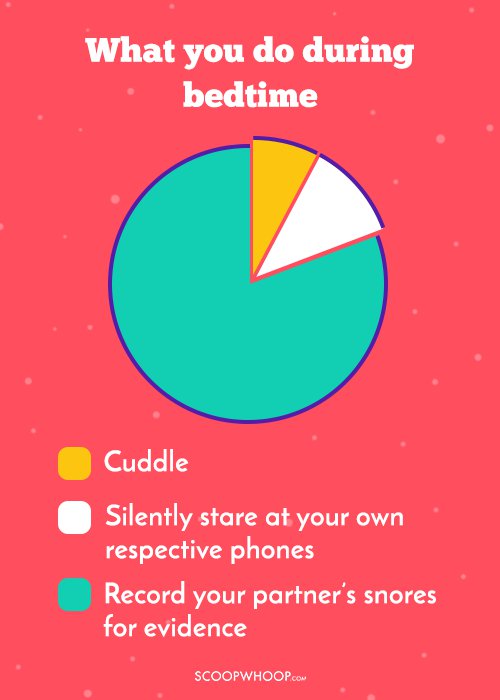 Pie Charts About LongTerm Relationships