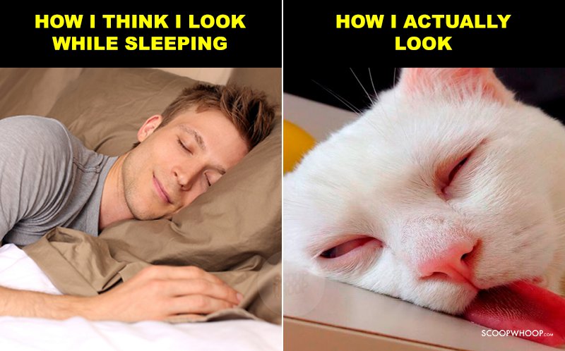 16-memes-about-sleep-because-it-s-literally-the-only-thing-any-of-us
