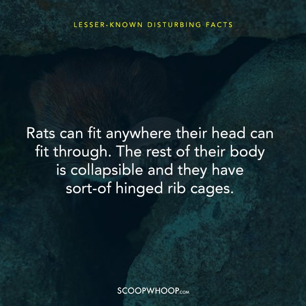 11-lesser-known-unsettling-facts-that-will-make-you-feel-increasingly-uncomfortable