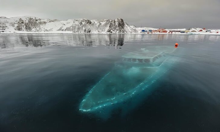 19 photographs that dont need photoshop