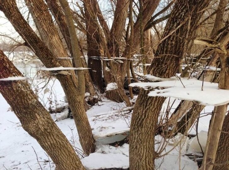 19 photographs that dont need photoshop