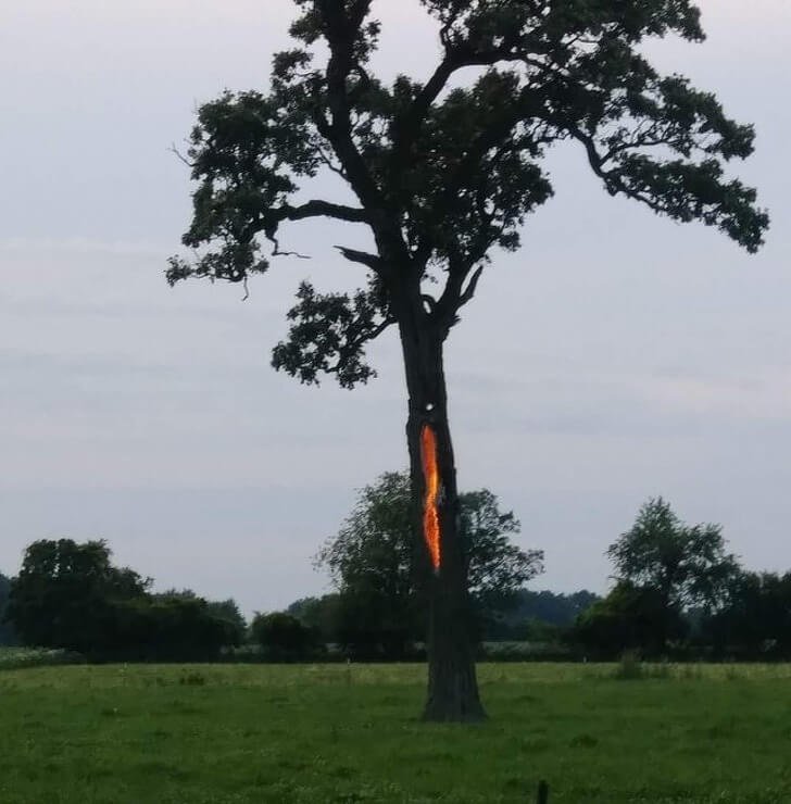19 photographs that dont need photoshop