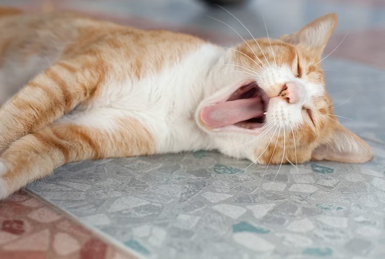 18 ridiculous things we all did in childhood