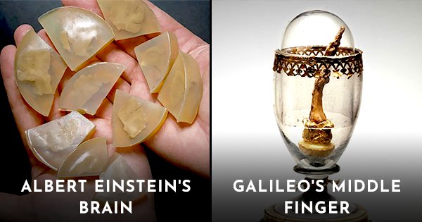 From Einstein's Brain To Galileo's Finger, Here's Where These Famous ...