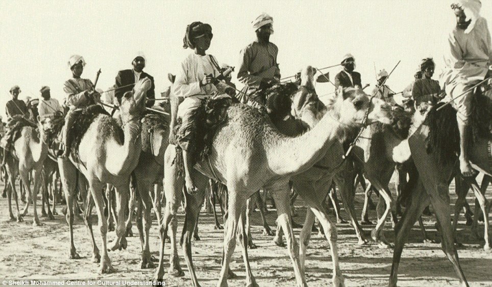 Camel caravan