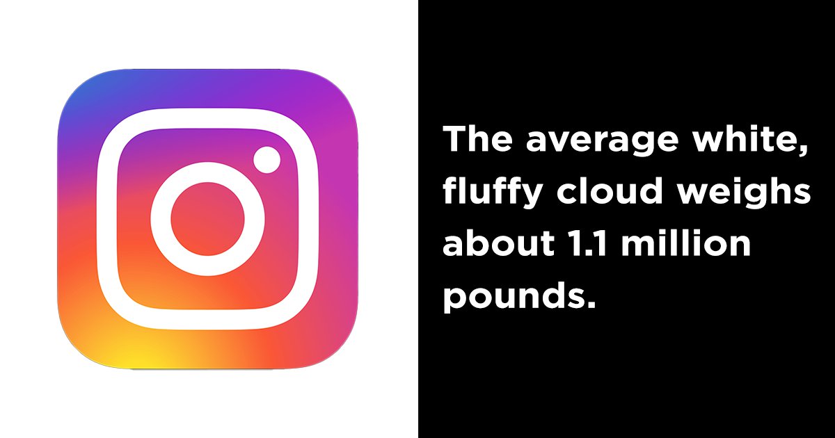 This IG Account About Interesting Facts You Probably Didn't Know Can Be