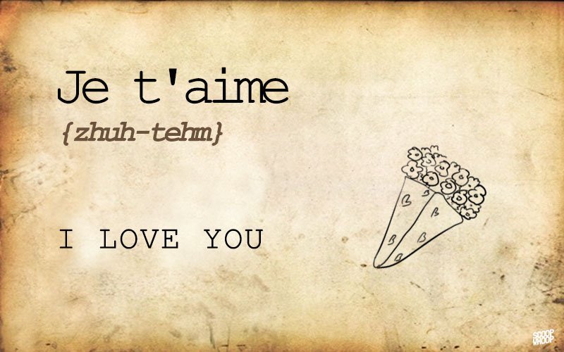 35-french-words-and-phrases-everyone-should-learn