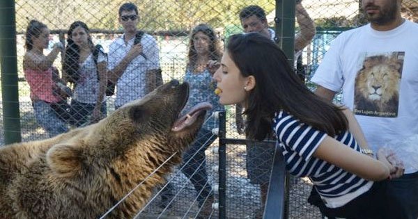 12 People Who Had No Idea What They Were Doing At The Zoo