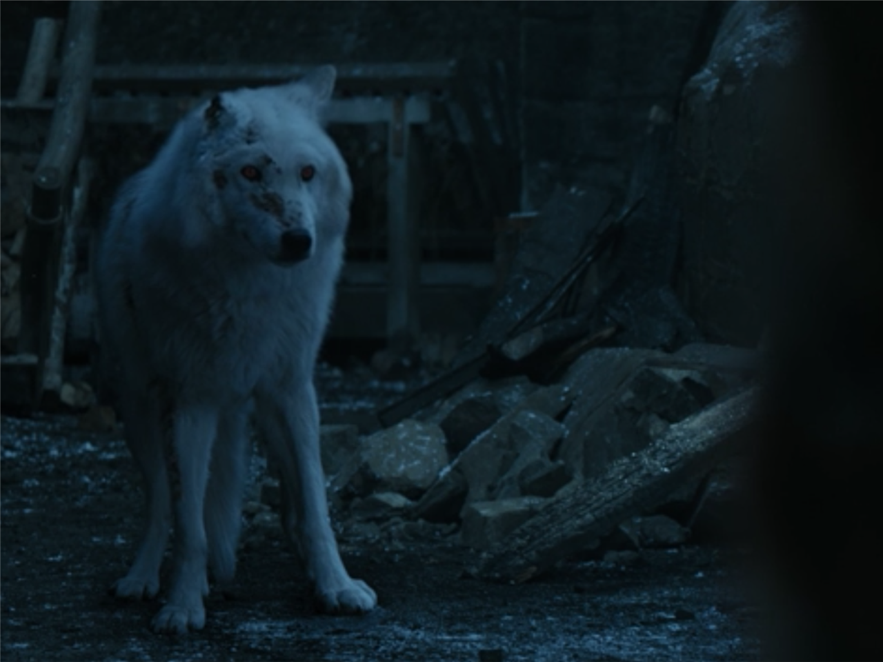 Ghost Didn T Get A Good Boy Pat From Jon Snow Because He Was Cgi