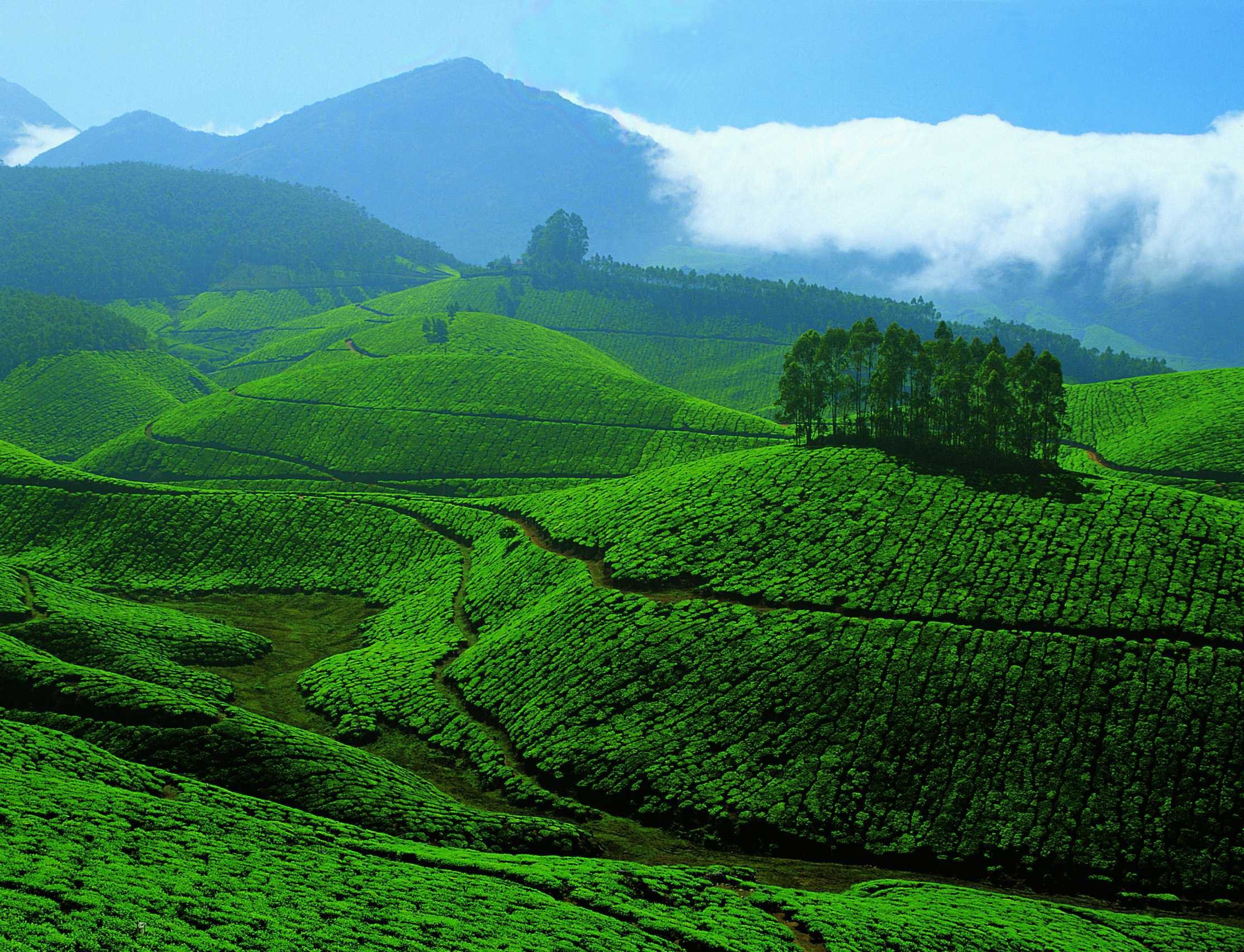 kerala tourist attractions